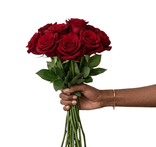 A hand holding a bouquet of deep red roses